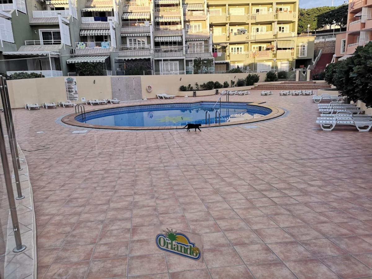 Orlando Playa Americas Apartment